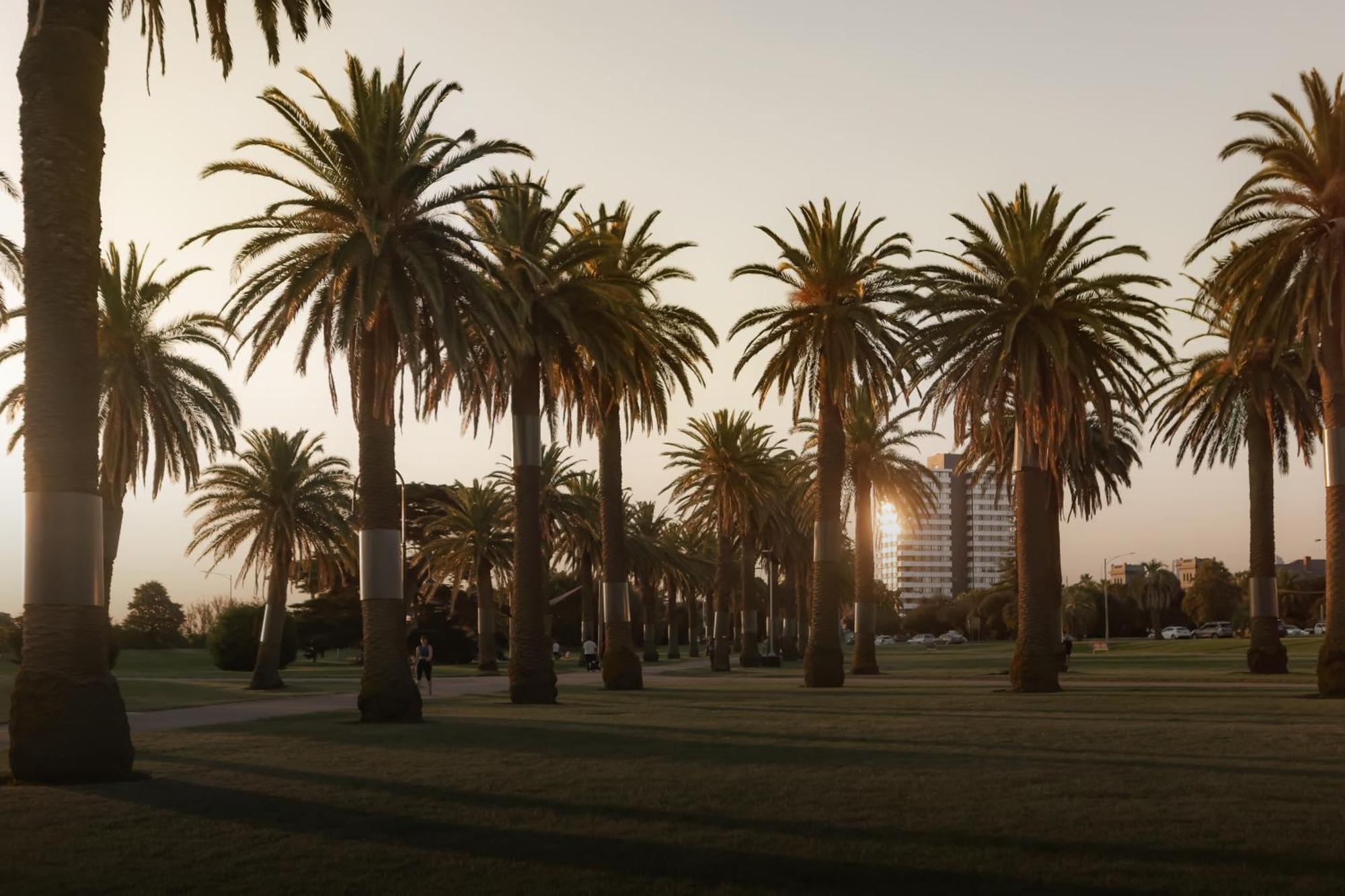 Mac St Kilda Blessington St By Melbourne Apartment Collection Exteriör bild